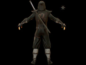 ninja 3D Model