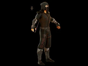 ninja 3D Model