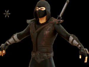 ninja 3D Model