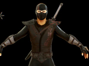 ninja 3D Model