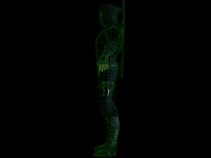 ninja 3D Model