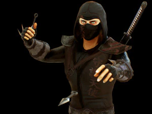 ninja 3D Model