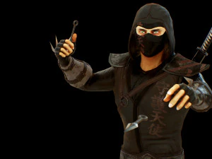 ninja 3D Model