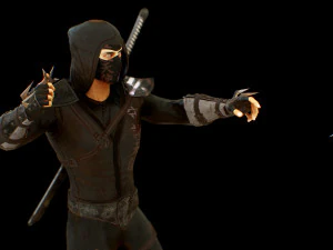 ninja 3D Model