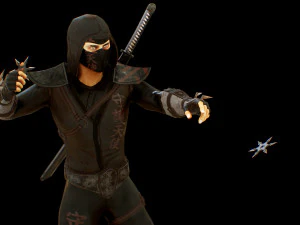 ninja 3D Model