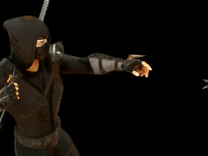 ninja 3D Model