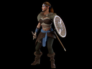 viking 3Dモデル