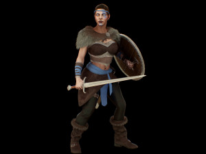 viking 3Dモデル