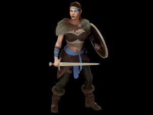 viking 3D Model