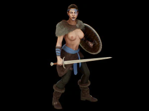 viking 3D Model
