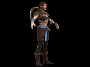 viking 3D Model