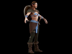 viking 3D Model