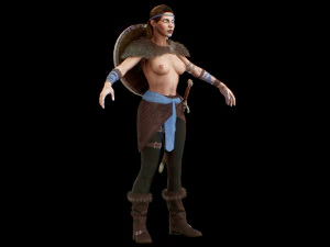 viking 3D Model