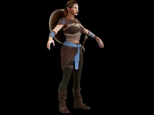 viking 3D Model