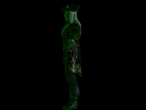 pirate captain 3D 모델