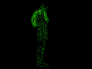 viking 2 Modello 3D