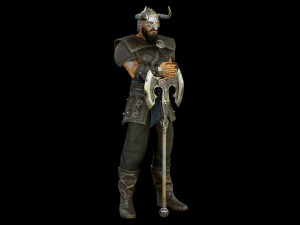 viking 2 Modello 3D