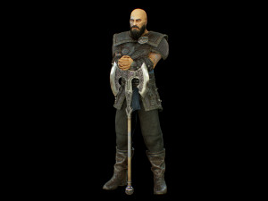 viking 2 Modello 3D