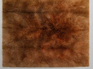 tapis 3D Model