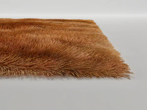 tapis 3D Model