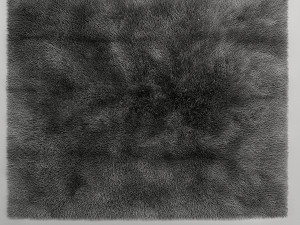 tapis Model 3D