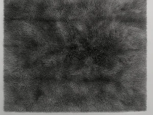 tapis 3D Model