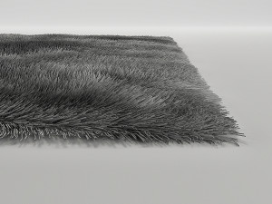 tapis Model 3D
