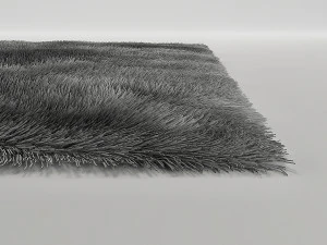 tapis 3D Model