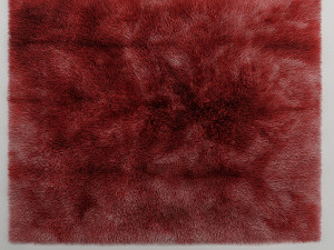 tapis Model 3D