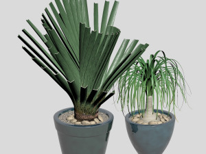 vas 3D 모델