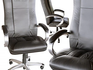 Chicago nous Medica Modèle 3D