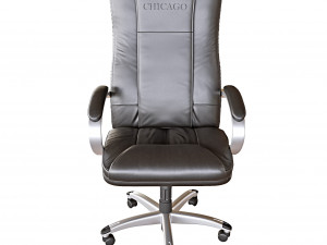 chicago us medica 3D Model