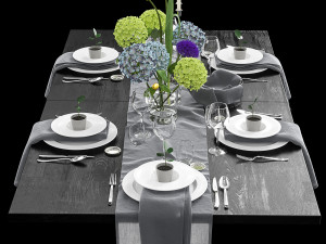 serving decor 3D 模型
