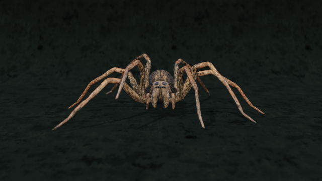 realistic wolf spider rigged in 3d blender model low-poly Modelo 3D .c4d .max .obj .3ds .fbx .stl .blend 