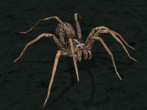 realistic wolf spider rigged in 3d blender model low-poly Modelo 3D