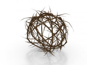 tumbleweed 3Dモデル