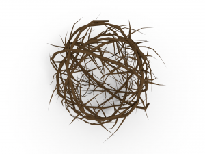 tumbleweed 3Dモデル