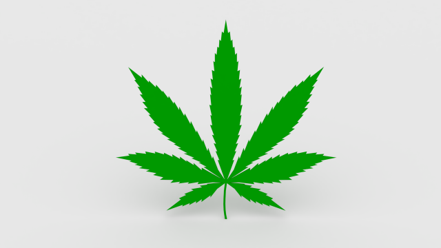 cannabis leaf Modelo 3D .c4d .max .obj .3ds .fbx .stl .blend 