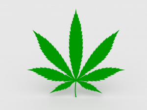 cannabis leaf Model 3D