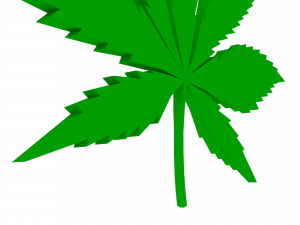 cannabis leaf Modelo 3D