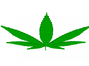 cannabis leaf Modelo 3D