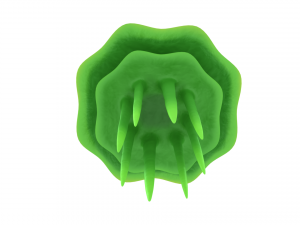 jellyfish Modelo 3D