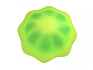 jellyfish Modelo 3D