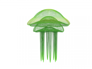 jellyfish Modelo 3D
