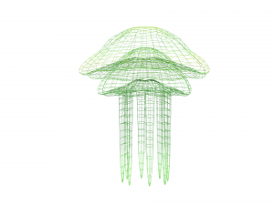 jellyfish Modelo 3D