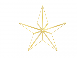 christmas star Modelo 3D