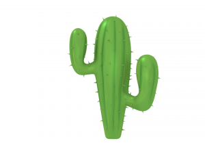 cactus Model 3D
