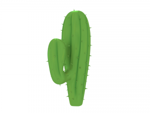 cactus Model 3D