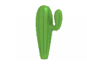 cactus Model 3D