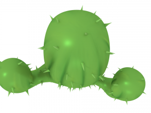 cactus Model 3D